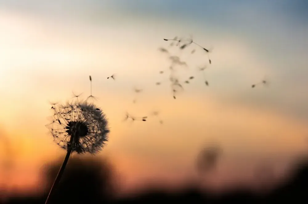 Roc-Eclerc-cremation-la-dispersion-des-cendres